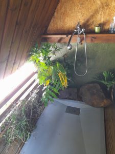 douche exterieure